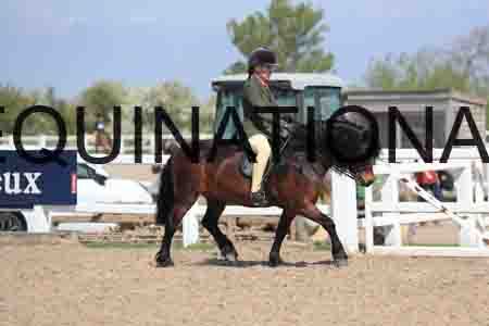 LOT-1703