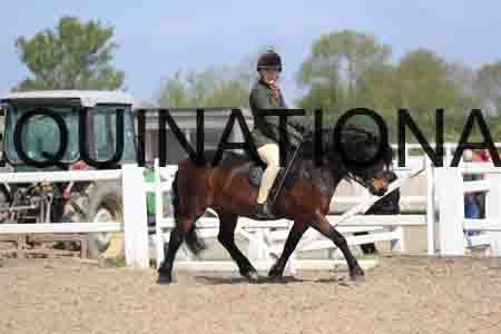 LOT-1704