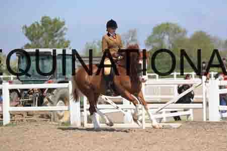 LOT-1705