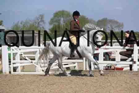LOT-1707