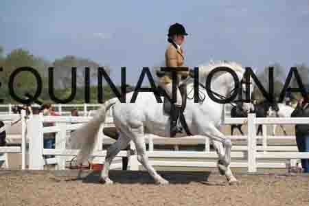 LOT-1710