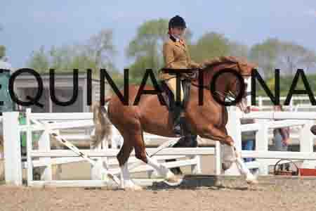 LOT-1713