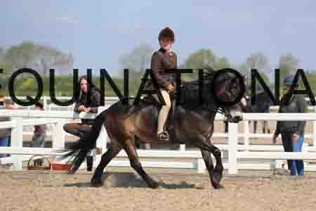 LOT-1716