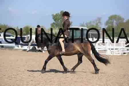LOT-1721