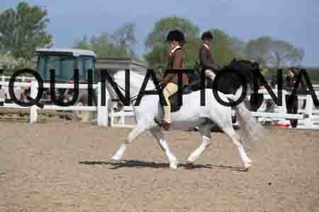 LOT-1726