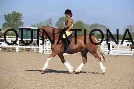 LOT-1728