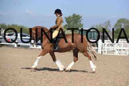LOT-1729