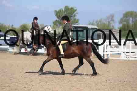 LOT-1730