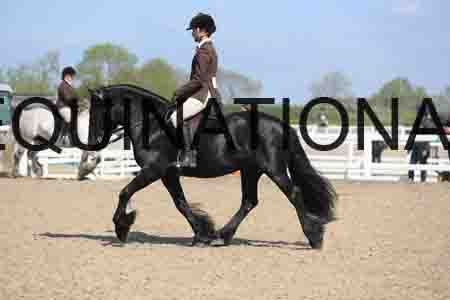 LOT-1731