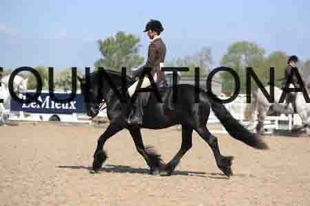 LOT-1732