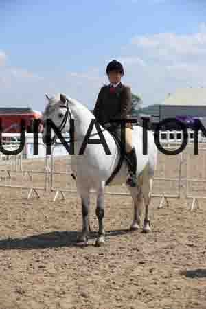 LOT-1737