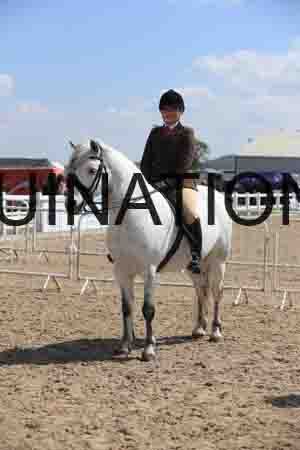 LOT-1738