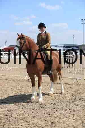 LOT-1761