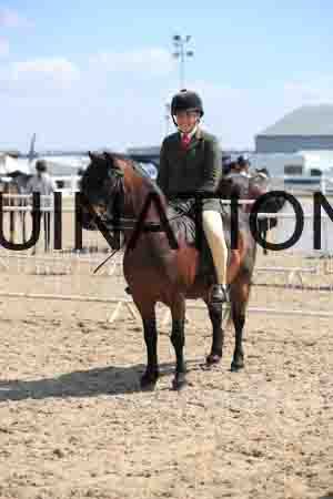 LOT-1766