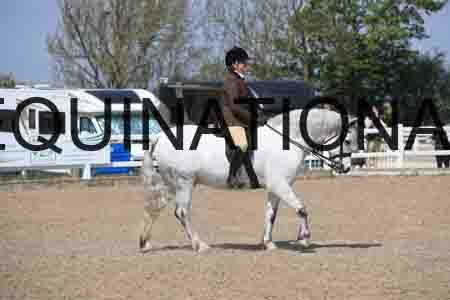 LOT-1774