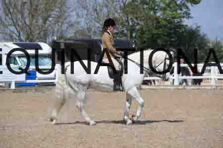 LOT-1775