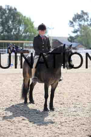 LOT-1781