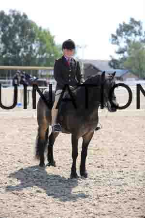 LOT-1782