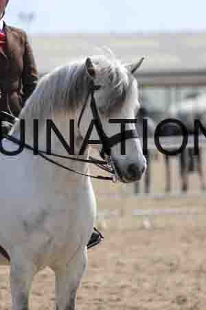 LOT-1789