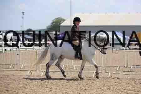 LOT-1795