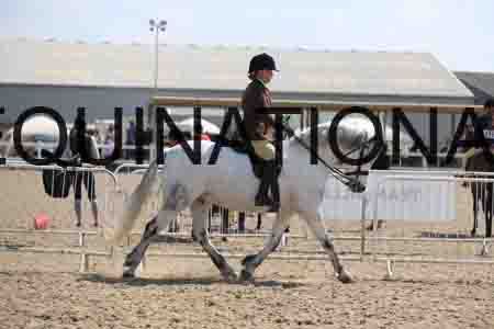 LOT-1796