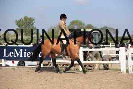 LOT-1812