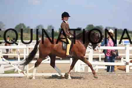 LOT-1822
