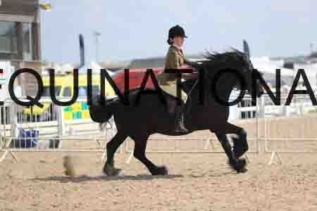 LOT-1827