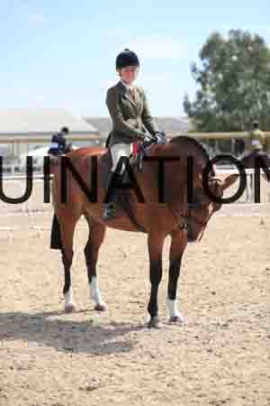 LOT-2034