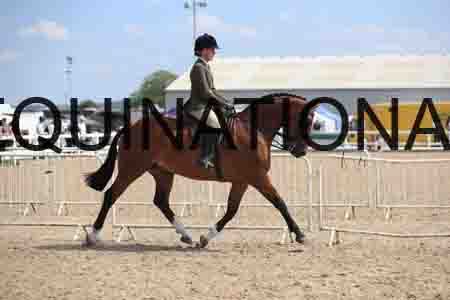 LOT-2038