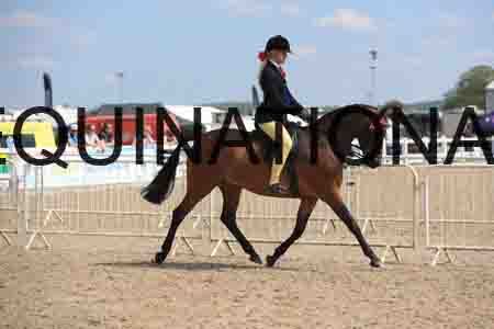LOT-2039