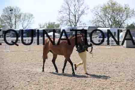 LOT-2047