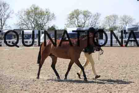 LOT-2048