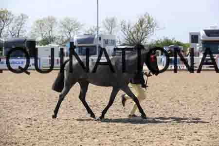 LOT-2057