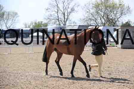 LOT-2062