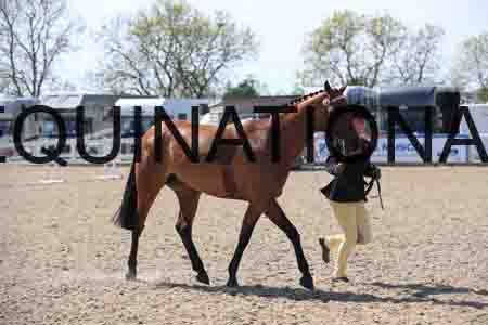 LOT-2063