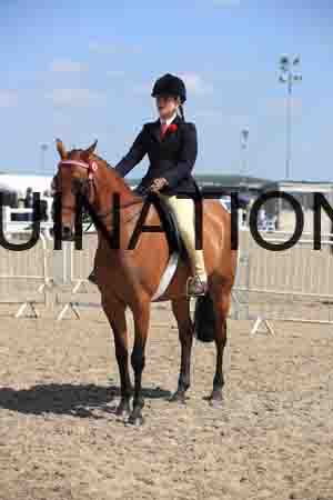 LOT-2080