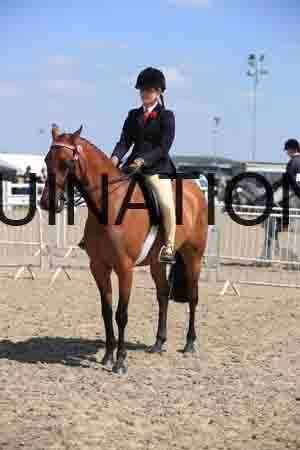 LOT-2081