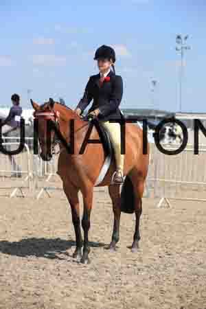 LOT-2084