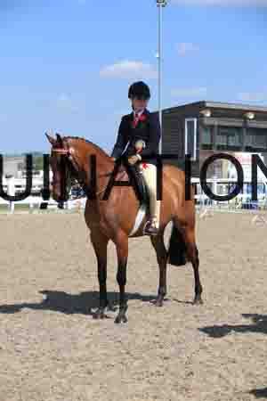 LOT-2091