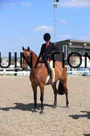 LOT-2095