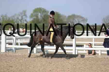 LOT-2111