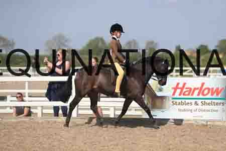LOT-2113