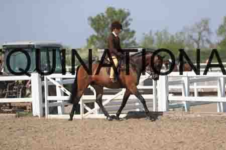 LOT-2114