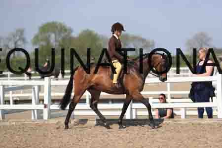 LOT-2116