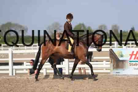 LOT-2117