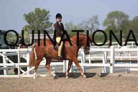 LOT-2119