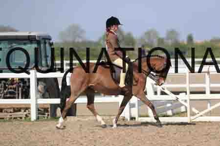 LOT-2121