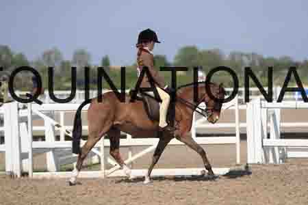 LOT-2122