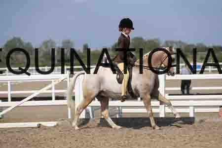 LOT-2137